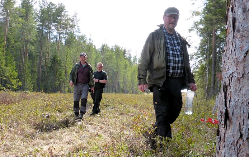 perillä.jpg