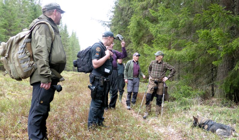 syrjätauko.jpg